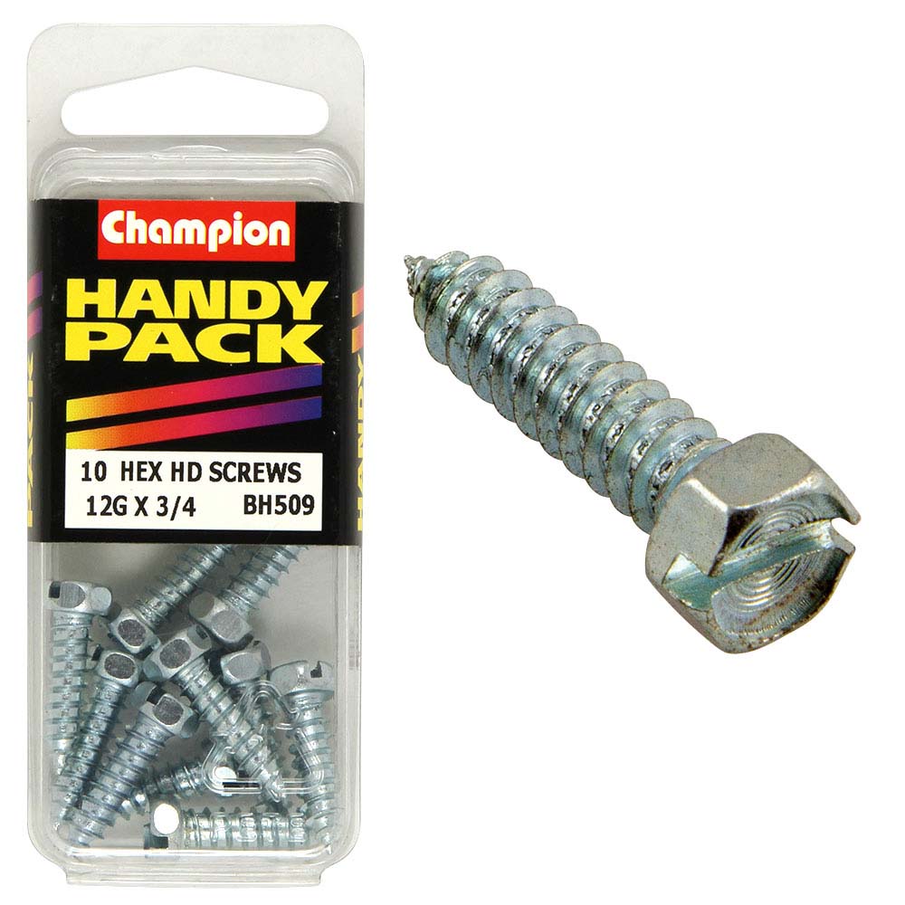 Champion 12G x 3/4in S/Tap Set Screw - Hex HD