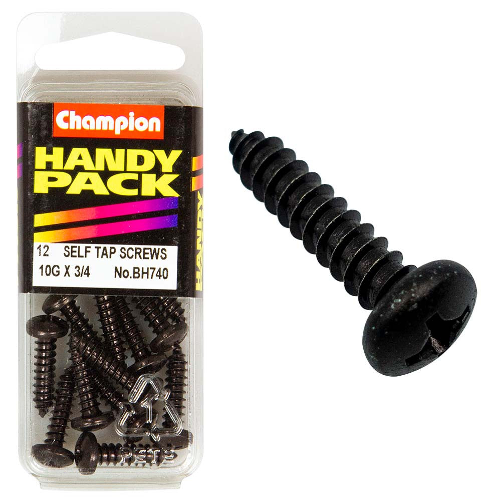 Champion 10G x 3/4in S/Tap Set Screw - Blk Zinc