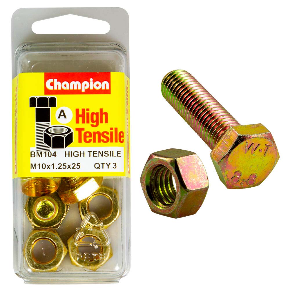 Champion M10 x 25 x 1.25 Set Screw & Nut (A) - GR8.8