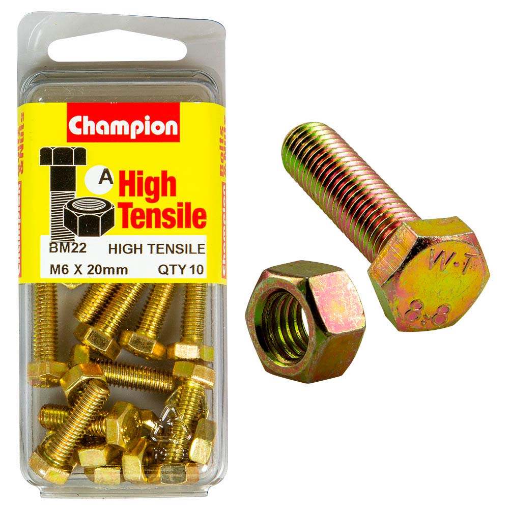 Champion M6 x 20 Set Screw & Nut (A) - GR8.8