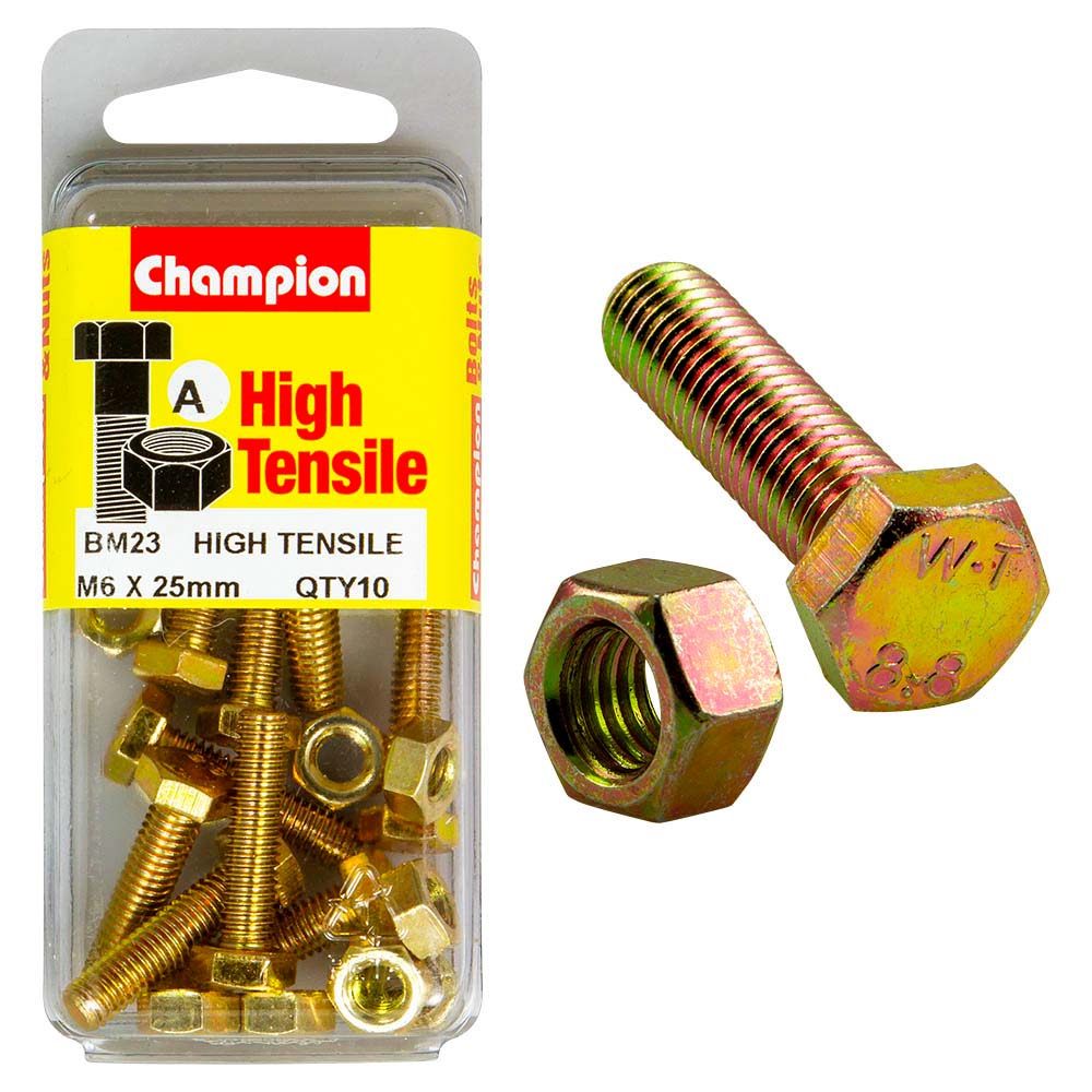 Champion M6 x 25 Set Screw & Nut (A) - GR8.8
