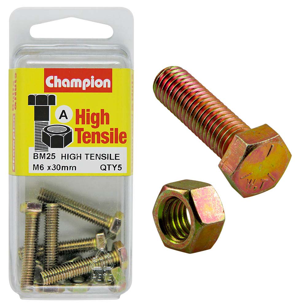 Champion M6 x 30 Set Screw & Nut (A) - GR8.8