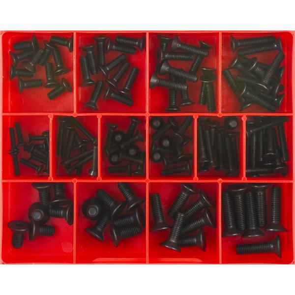 Champion 124Pc Metric Csk Socket Head Cap Screw Assortment | Assortments - Head Screws S/T-Fasteners-Tool Factory