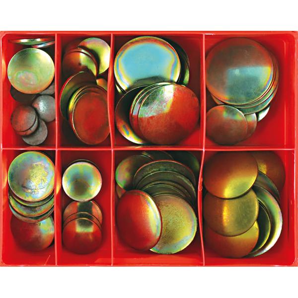 Champion 100Pc Lens Type Steel Exp Plug Assortment | Assortments - Misc-Fasteners-Tool Factory