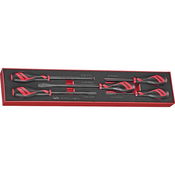Teng 5Pc Power Thru Screwdriver Set - Tex-Tray | Tool Tray Sets-Hand Tools-Tool Factory