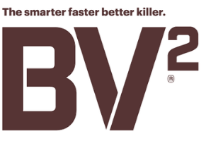 BV2
