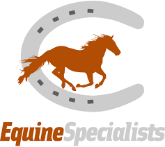 Equine
