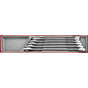Teng 6pc Combination Spanner Set