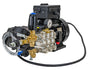 Interpump 2,900 PSI High Pressure Pump - Motor | KIT2001555C