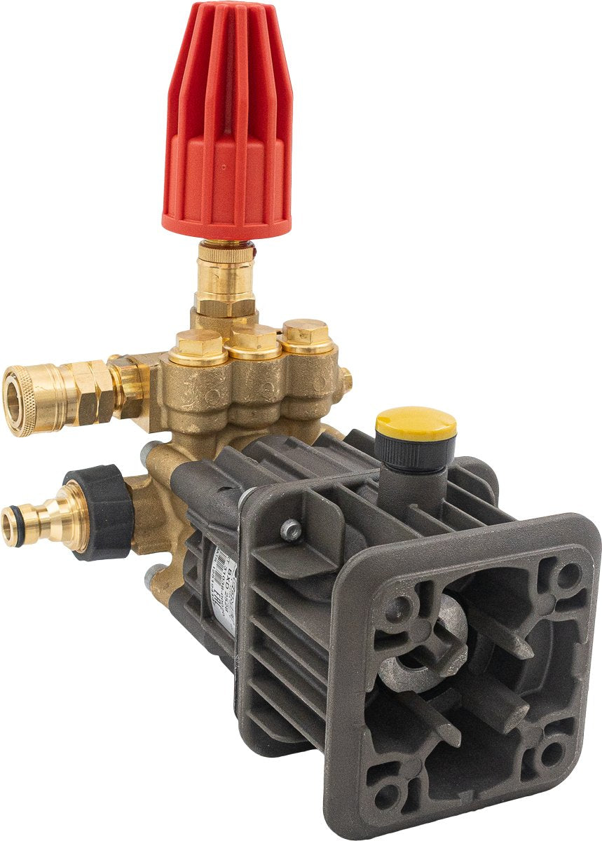 BE 2,800 PSI Pump Assembly - BXD Series, 3/4", Hollow Shaft, 4.8hp | BXD2528G ASSY