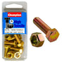 Champion 3/4in x 5/16in Set Screw & Nut (A) - GR5