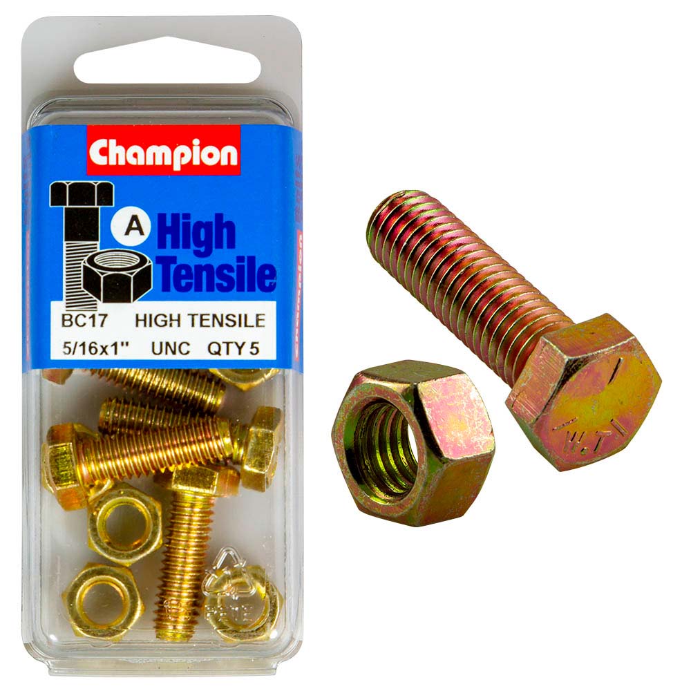 Champion 1 x 5/16in Set Screw & Nut (A) - GR5