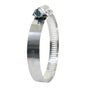 Global Clamps HD Perf  46-70mm W2 SAE 036 (10pc)