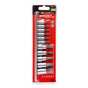 Powerbuilt 1/4in Dr 3/8in Dr 11pc Star / Torx Bit Socket Set