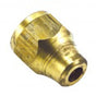 Champion 5/16in Brass Flare Nut (BP)**