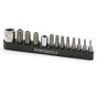 Powerbuilt 13pc Tamper Proof Torx Bit Set