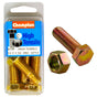 Champion 1-1/2in x 1/2in Set Screw  & Nut (C) - GR5