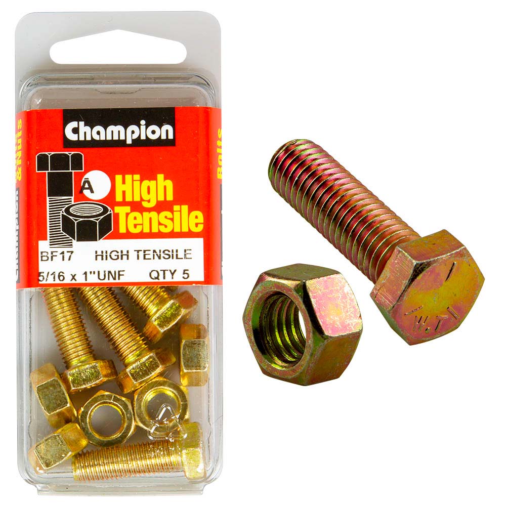 Champion 1 x 5/16in Set Screw & Nut (A) - GR5