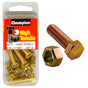 Champion 1 x 5/16in Set Screw & Nut (A) - GR5