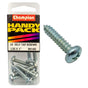 Champion 12G x 1 S/Tap Set Screw - Pan HD