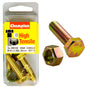 Champion M10 x 35 x 1.00 Set Screw & Nut (B) - GR8.8
