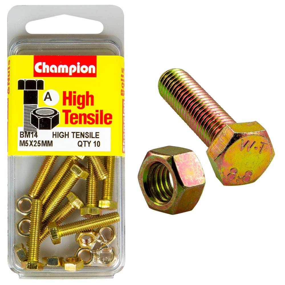 Champion M5 x 25 Set Screw & Nut (A) - GR8.8