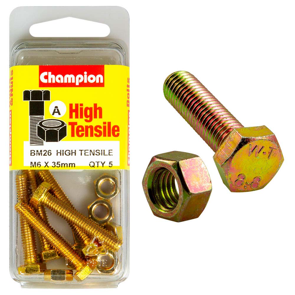 Champion M6 x 35 Set Screw & Nut (A) - GR8.8