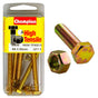 Champion M6 x 50 Set Screw & Nut (A) - GR8.8