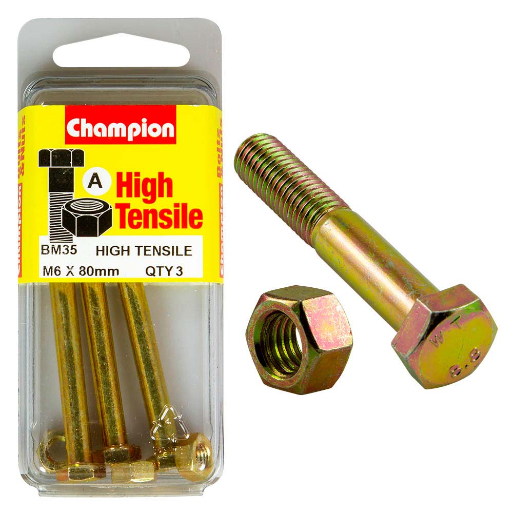 Champion M6 x 80 Bolt & Nut (A) - GR8.8