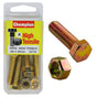 Champion M8 x 35 Set Screw & Nut (A) - GR8.8