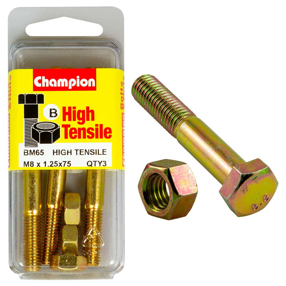 Champion M8 x 75 Bolt & Nut (B) - GR8.8