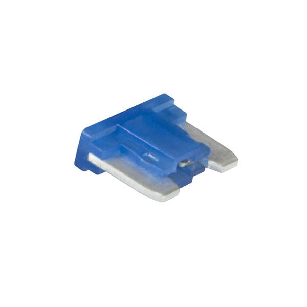 Champion 15Amp Low Profile Mini Blade Fuse (Blue) -15Pk | Auto Fuses - Mini Blade-Automotive & Electrical Accessories-Tool Factory