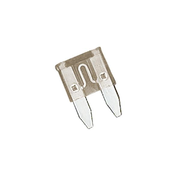 Champion 5Amp Mini Blade Fuse (Tan) -15Pk | Auto Fuses - Mini Blade-Automotive & Electrical Accessories-Tool Factory