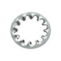 Champion 16Mm Internal Star Washer -10Pk | Replacement Packs - Metric-Fasteners-Tool Factory