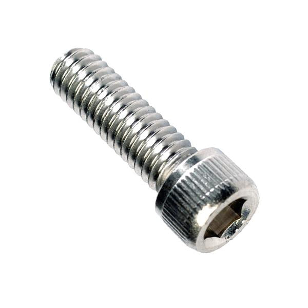 Champion 1/4In X 1-1/4In Bsw Socket Cap Screw 316/A4 -6Pk | Stainless Steel - Grade 316 Imperial-Fasteners-Tool Factory