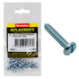 Champion 10G x 3/4in S/Tapping Screw Pan Head Slotted -25pk
