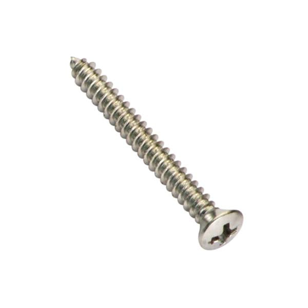 Champion 6G X 3/4In S/Tapping Screw Rsd Hd Phillips - 100Pk | Bulk Packs - Imperial-Fasteners-Tool Factory