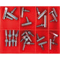 Champion 20Pc Ball Joint Assortment | Assortments - Misc-Fasteners-Tool Factory