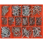 425Pc Torx Security Self Tapping Screw Assortment | Assortments - Security Screws-Fasteners-Tool Factory