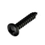 Champion 316/A4 S/Tap Set Screw - Csk 10G X 3/4In (B) | Blister Packs - CSK-Fasteners-Tool Factory