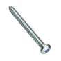 Champion 10G X 3/4In Pan Head Phillips Z/P - 100Pk | Bulk Packs - Phillips-Fasteners-Tool Factory